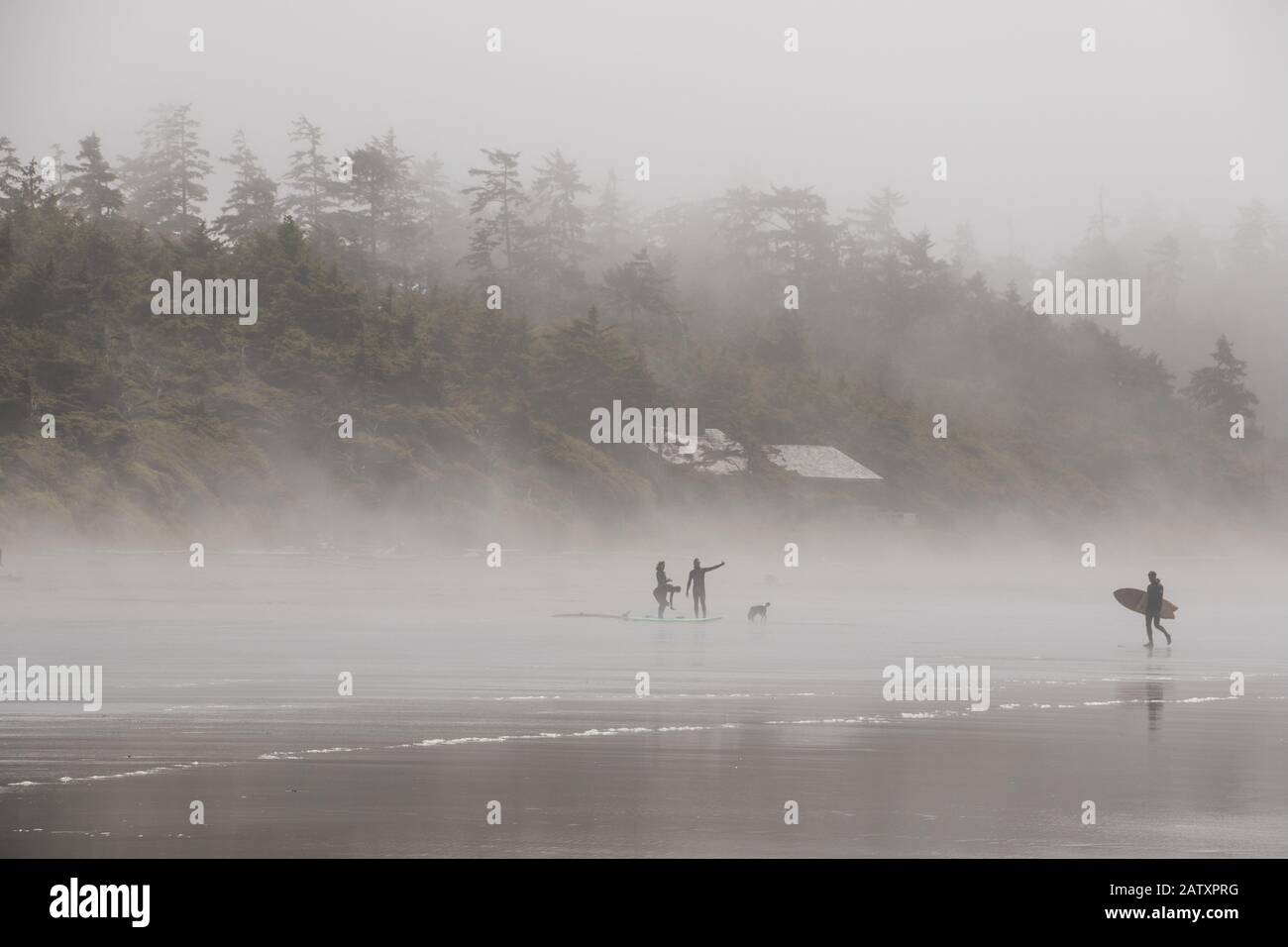 Tofino Surft In Foggy Stockfoto