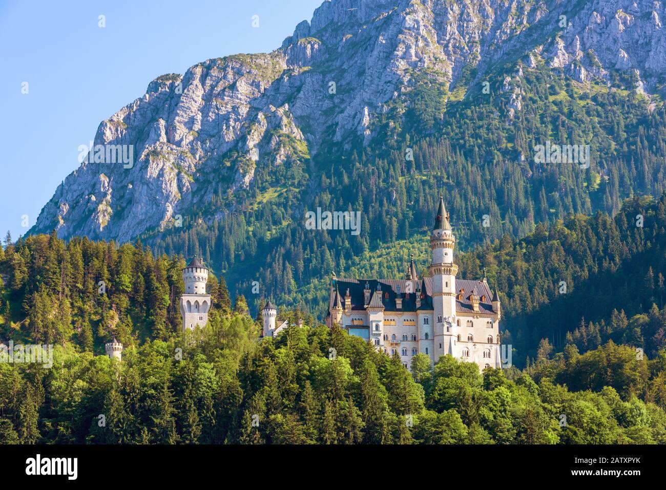 Schloss Neuschwanstein in Bergen, Bayern, Deutschland. Es ist ein berühmtes Wahrzeichen der deutschen Alpen. Landschaft mit Wald und Schloss Neuschwanstein im Summand Stockfoto
