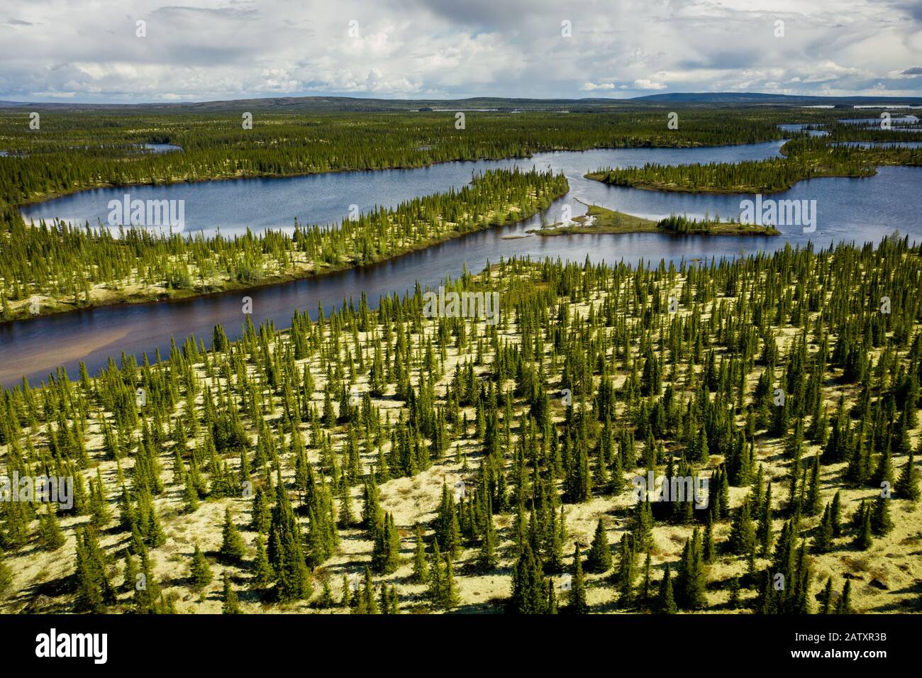 Trans-Taiga Road, Quebec Stockfoto