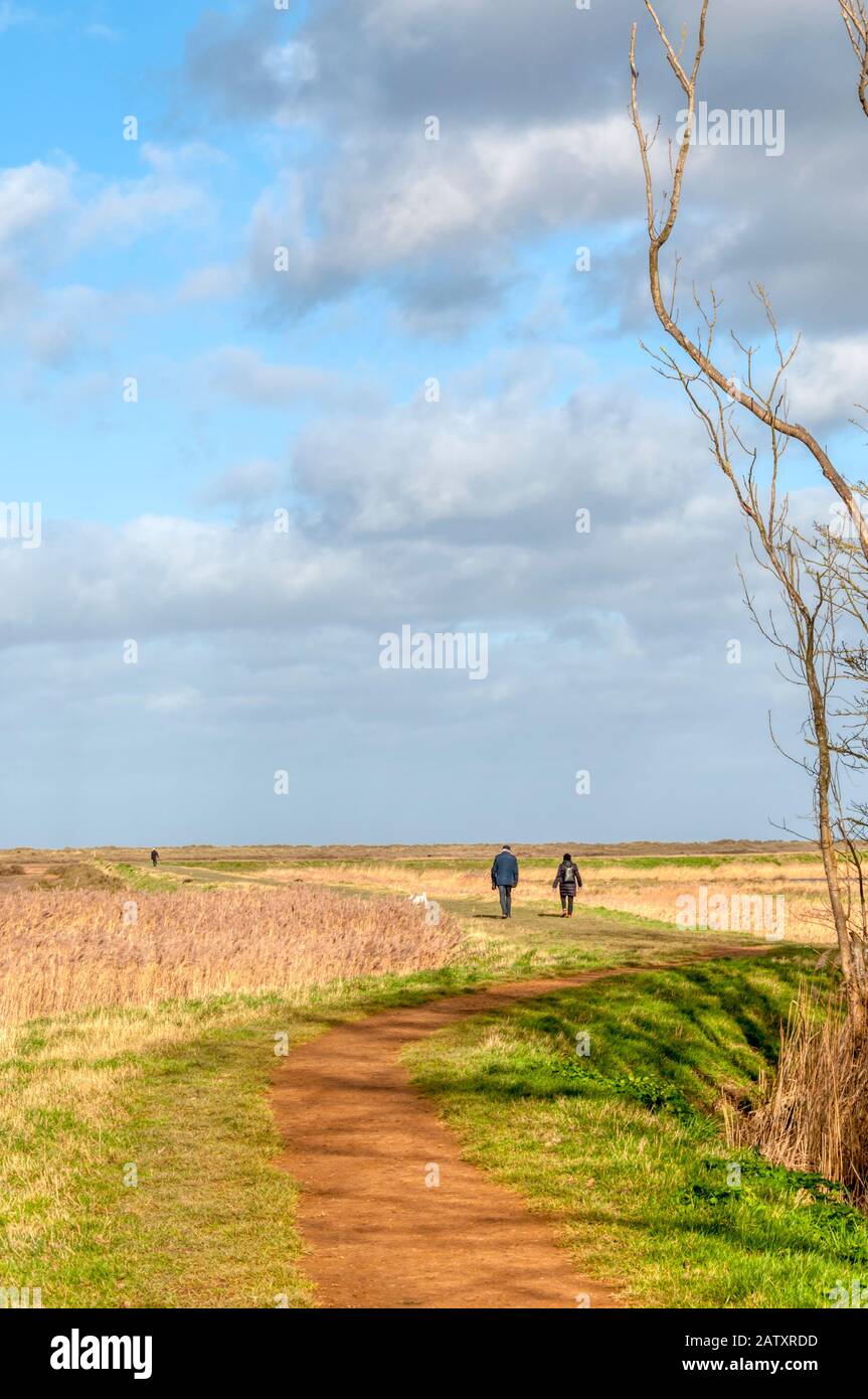 Ein Paar, das an einem hellen Februartag seinen Hund entlang der Gypsy Lane ausübt, der die Küstenmarschen bei Titchwell an der Norfolkküste überquert. Stockfoto