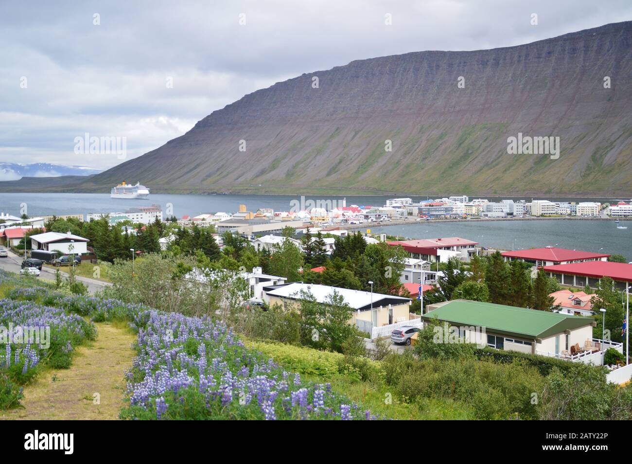 Blick auf Isafjodur in Island Stockfoto