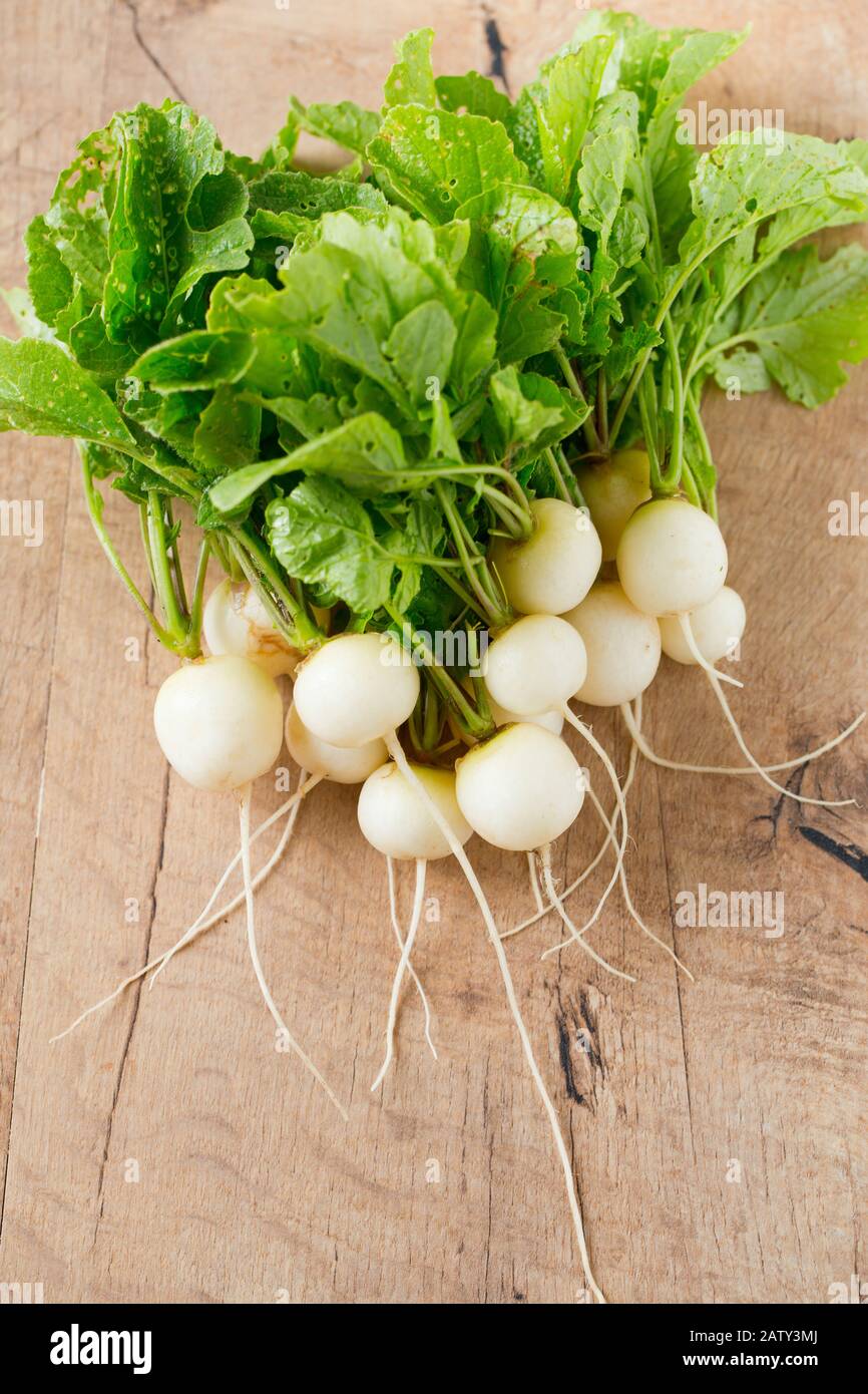 Weiße Radieschen auf Holzoberfläche Stockfoto