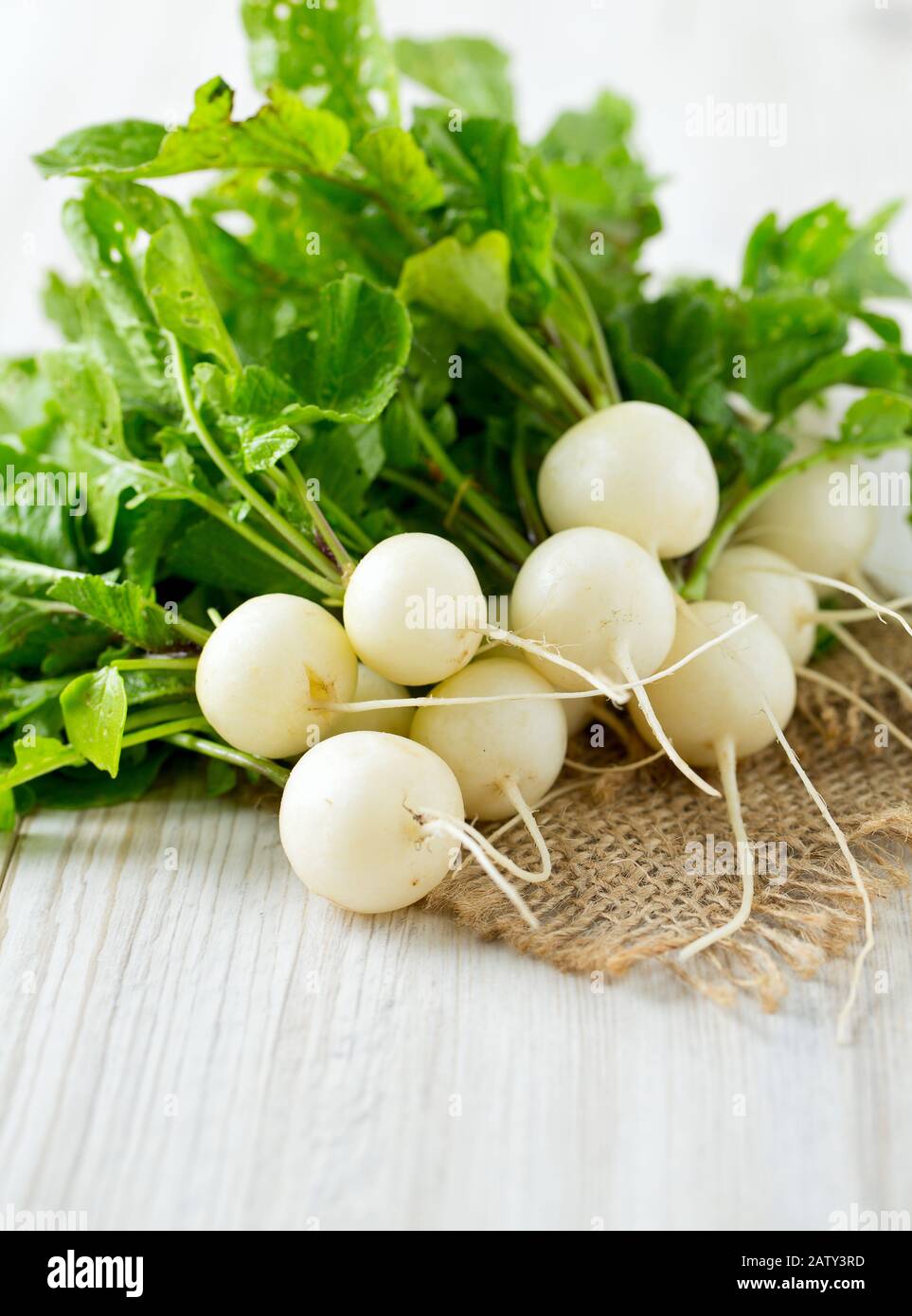 Weiße Radieschen auf Holzoberfläche Stockfoto