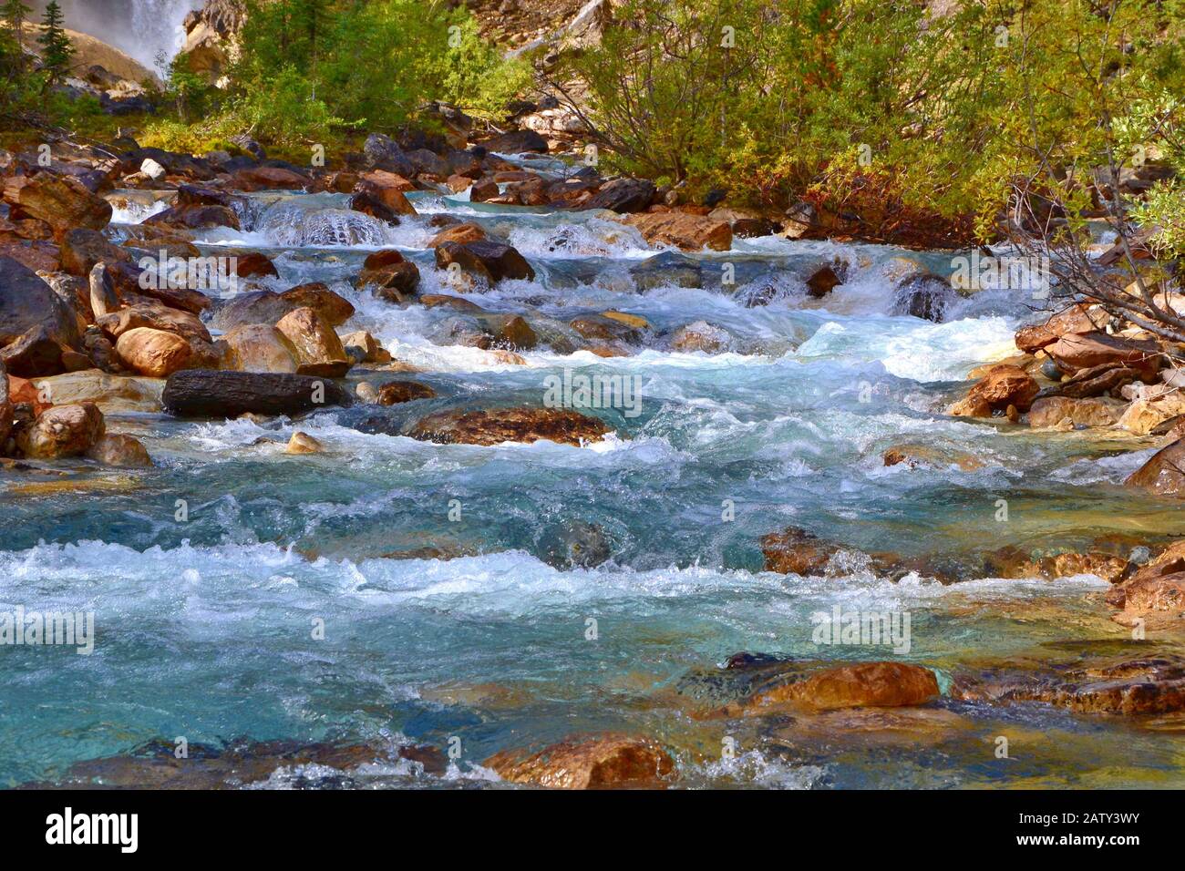 Schöner Fluss der Kaskadenberge. Blauer Fluss, braune Steine im Wasser, grüne Büsche am Ufer. Rocky Mountains, Kanada. Stockfoto