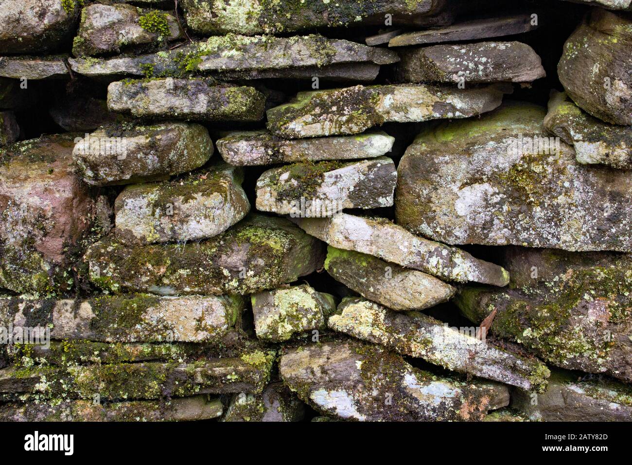 Ein Steinzaun mit Flechten und Moos in den Pocono Mountains in Pennsylvania. Ursprünglich im 19. Jahrhundert zur Bezeichnung von Grundstücksgrenzen und zu cont Stockfoto