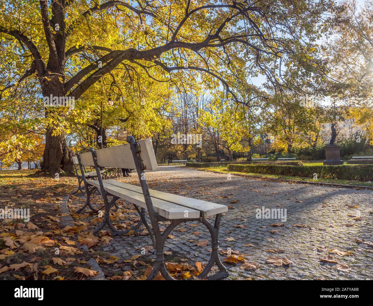 Warschau, Polen - 31. Oktober 2018: Schöne sonnige Herbstlandschaft mit verfallenen braunen Blättern, Straße durch den Park und gelben Bäumen. Royal Baths Stockfoto