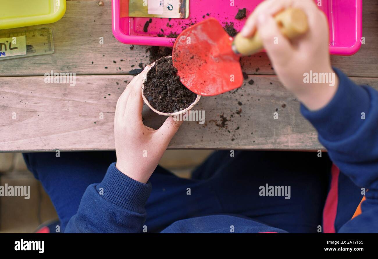 Kleinkinder lernen, wie sie Saatgut im Garten Pflanzen. Enge Schärfentiefe der Hände, die Samen und schwarzen Boden im Topf halten. Ökologischer Garten an erster Stelle Stockfoto