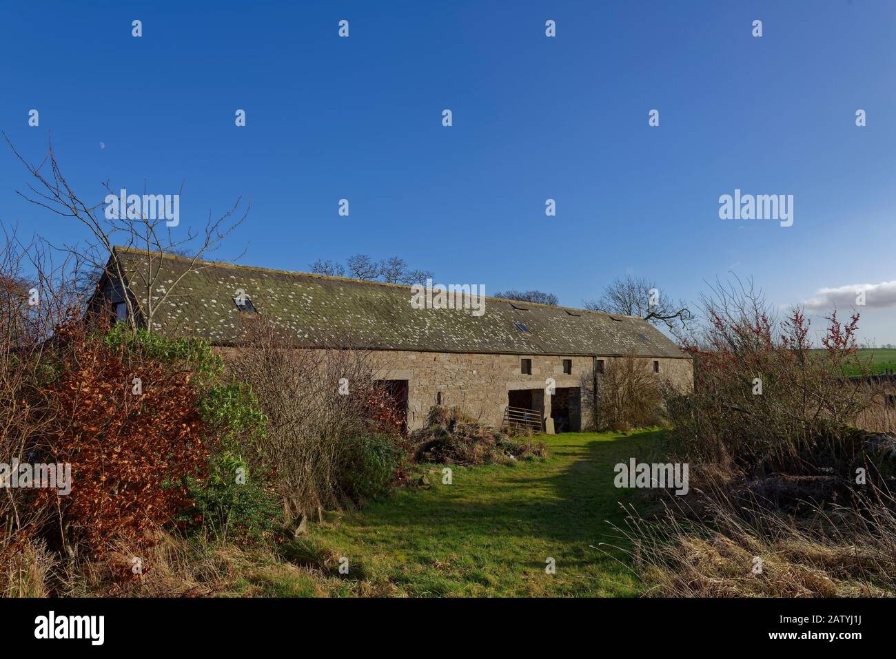Eine von Long Stone erbaute Scheune mit einem Satteldach aus Schiefer, die aufgegeben und auf dem überwucherten Gelände eines Bauernhauses im Dorf Aberlemno aufgestellt wurde. Stockfoto