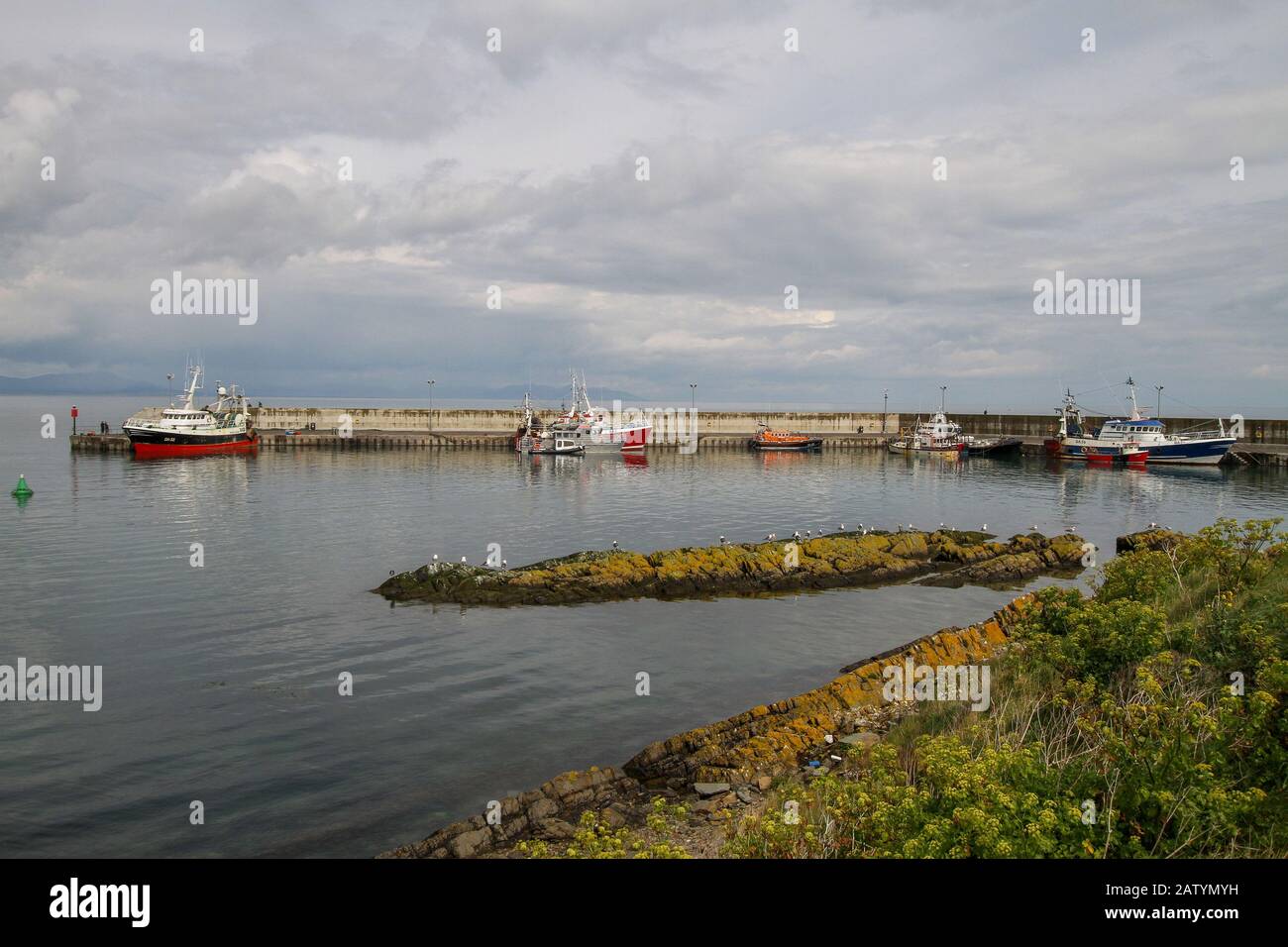 Panorama auf einen irischen Fischerhafen mit Fischerbooten, die an der modernen Betonpier in Port Oriel an der irischen Ostküste in Co Louth angelehnt sind. Stockfoto