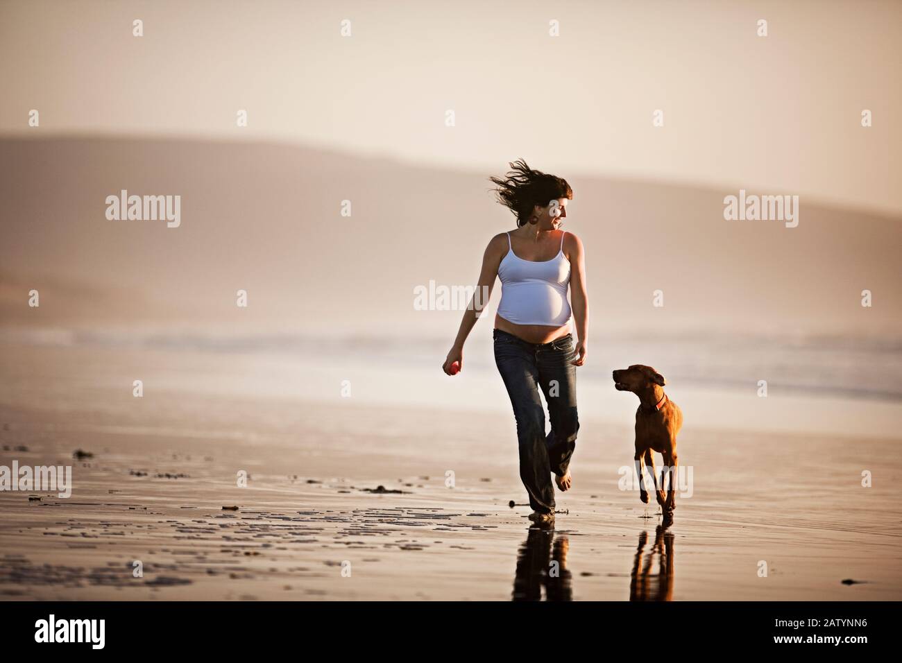 Schwangere Frau läuft mit Hund am Strand entlang Stockfoto