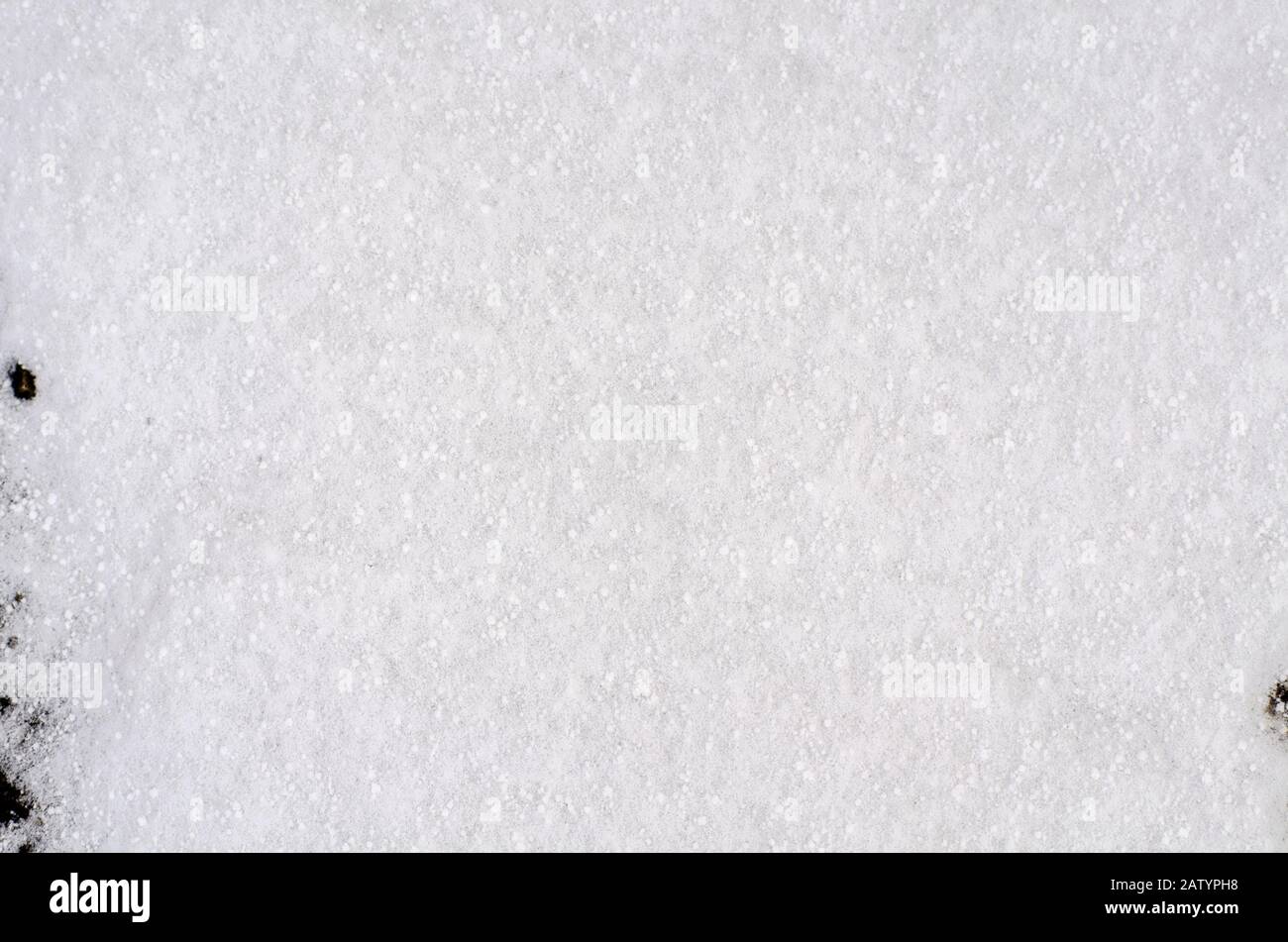 Hintergrund von Neuschnee Weiß natürliches Texturmuster für minimalistisches Design in Grautönen. Draufsicht mit Schneeflocken und großen Getreidearten. Konzept von ab Stockfoto