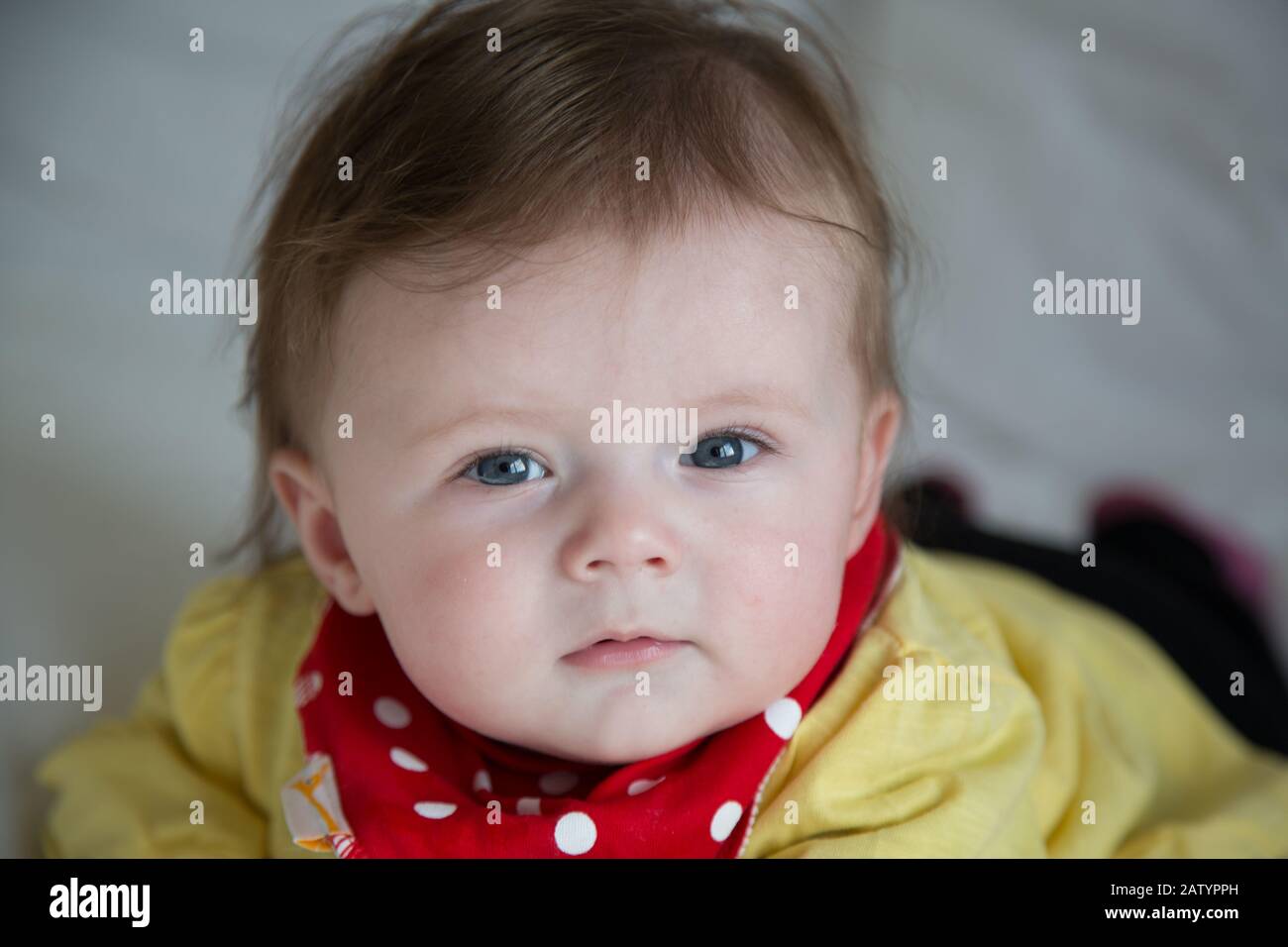 Porträt von einem 6 Monate alten Babymädchen Stockfoto