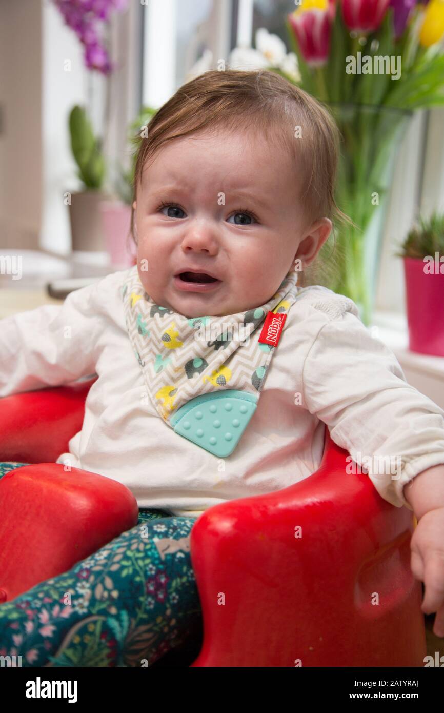 6 Monate altes Baby Mädchen weint in ihrem Bumbo Stuhl. Stockfoto