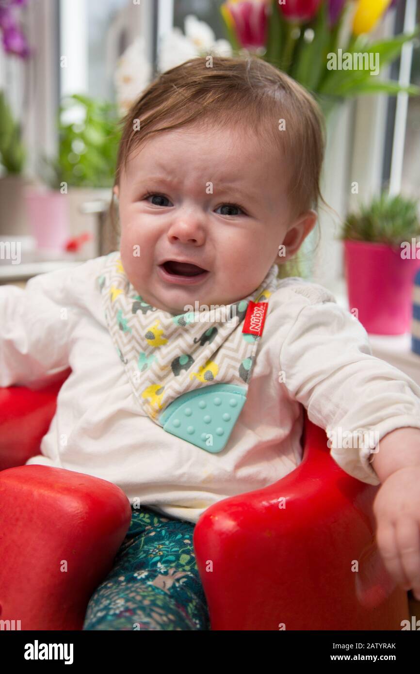 6 Monate altes Baby Mädchen weint in ihrem Bumbo Stuhl. Stockfoto