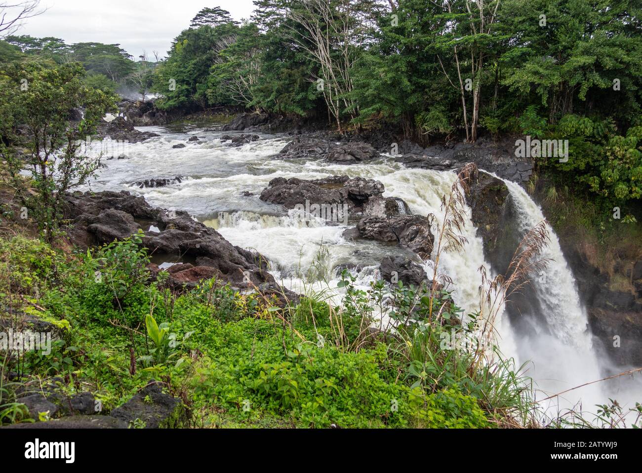 Hilo, Hawaii, USA. - 14. Januar 2020: Das Wasser läuft über den Rand der White Rainbow Falls am Wailuku River, umgeben von grünen Bäumen und Pflanzen. Stockfoto