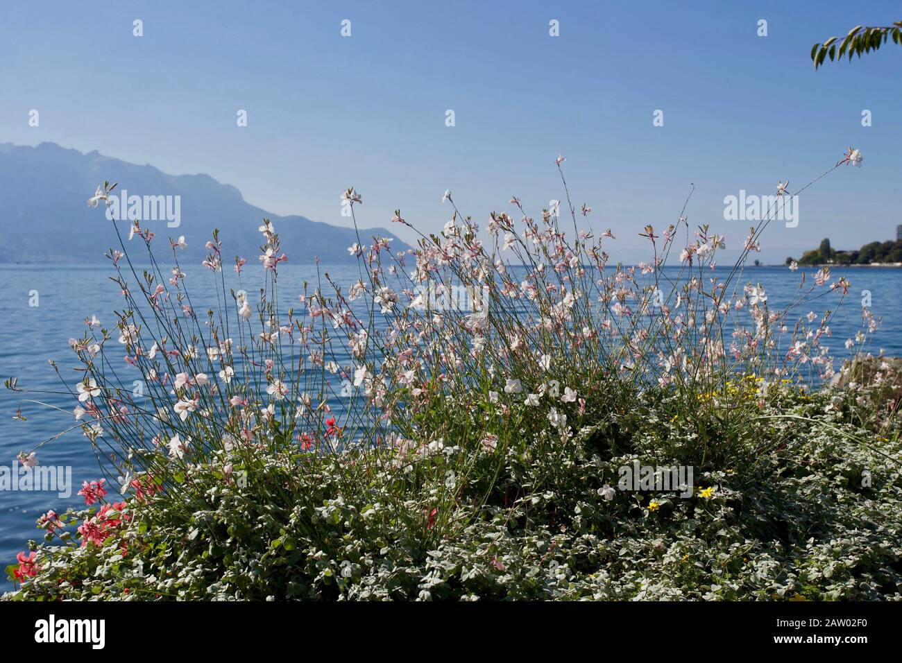 Montreux - der Genfersee Montreux ist eine Gemeinde und eine Schweizer Stadt am Ufer des Genfersee am Fuß der Alpen. Er gehört zum Landkreis Stockfoto