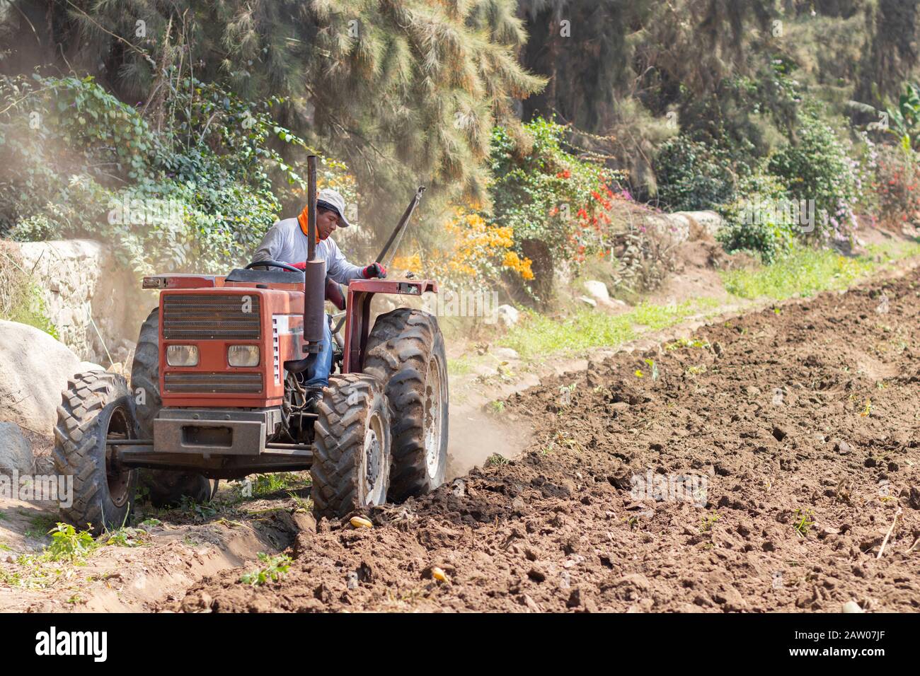 Mann, der das Land mit dem Traktor auf dem Hof für die Ernte vorbereitet Stockfoto