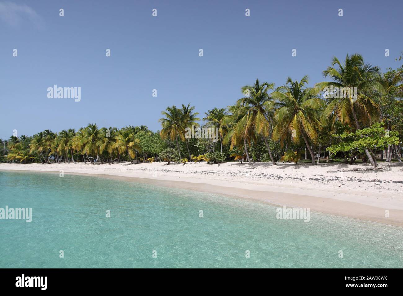 Die Grenadinen segeln Stockfoto