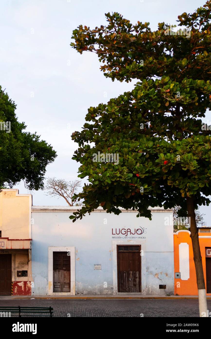 Holztür in einem typischen farbenfrohen Kolonialgebäude in Merida, Yucatan, Mexiko. Stockfoto