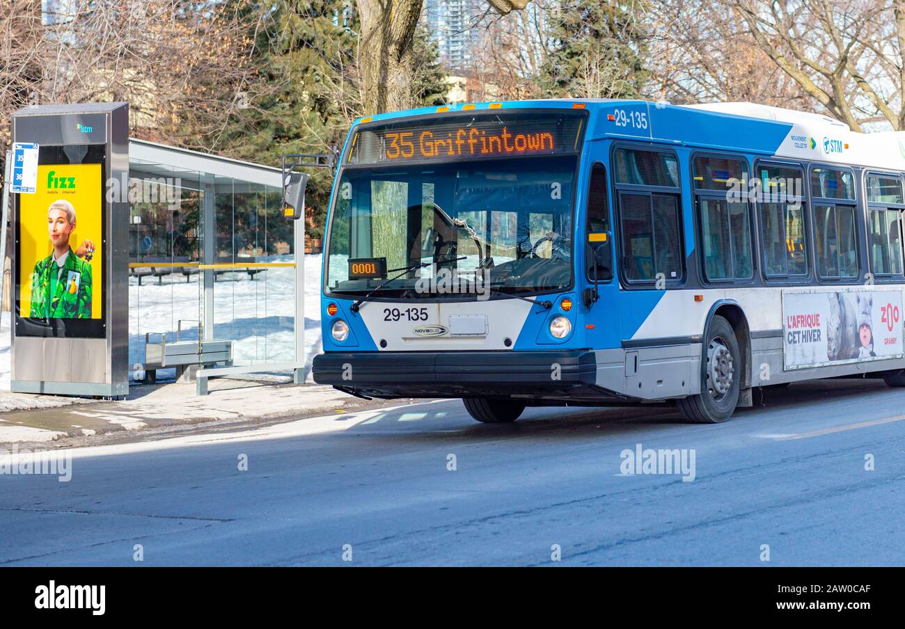 Montreal Quebec Kanada 5. Februar 2020: Metro STM Bus fährt die Straße entlang an der Bushaltestelle in Griffintown vorbei Stockfoto