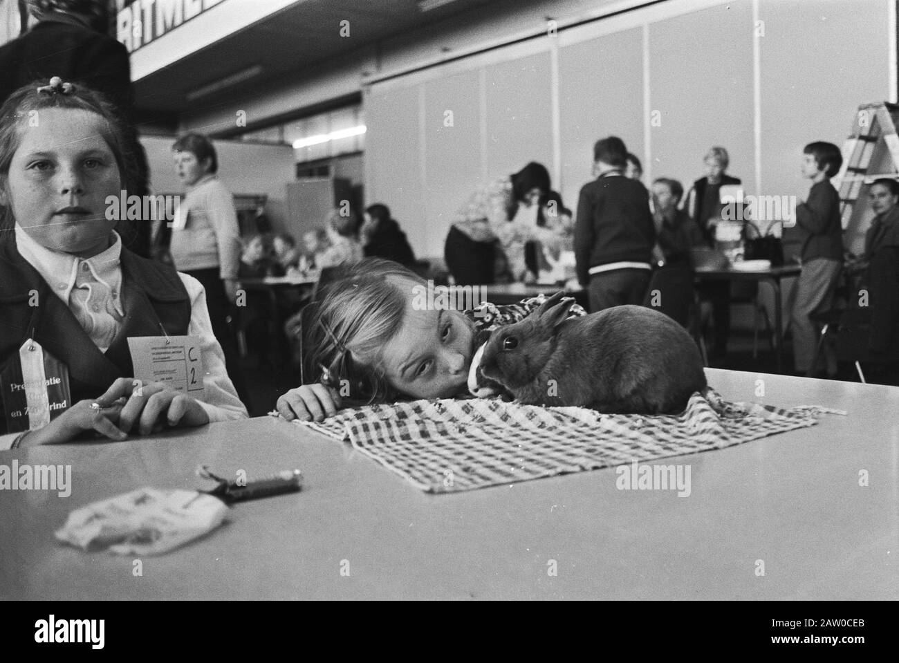 Nationale kleine Tiere Savoa Ausstellung, Amsterdam RAI; Mädchen mit Kaninchen Datum: 25. November 1970 Ort: Amsterdam, Noord-Holland Schlüsselwörter: Tiere, Mädchen, Ausstellungen Einrichtung Name: Savoa Stockfoto