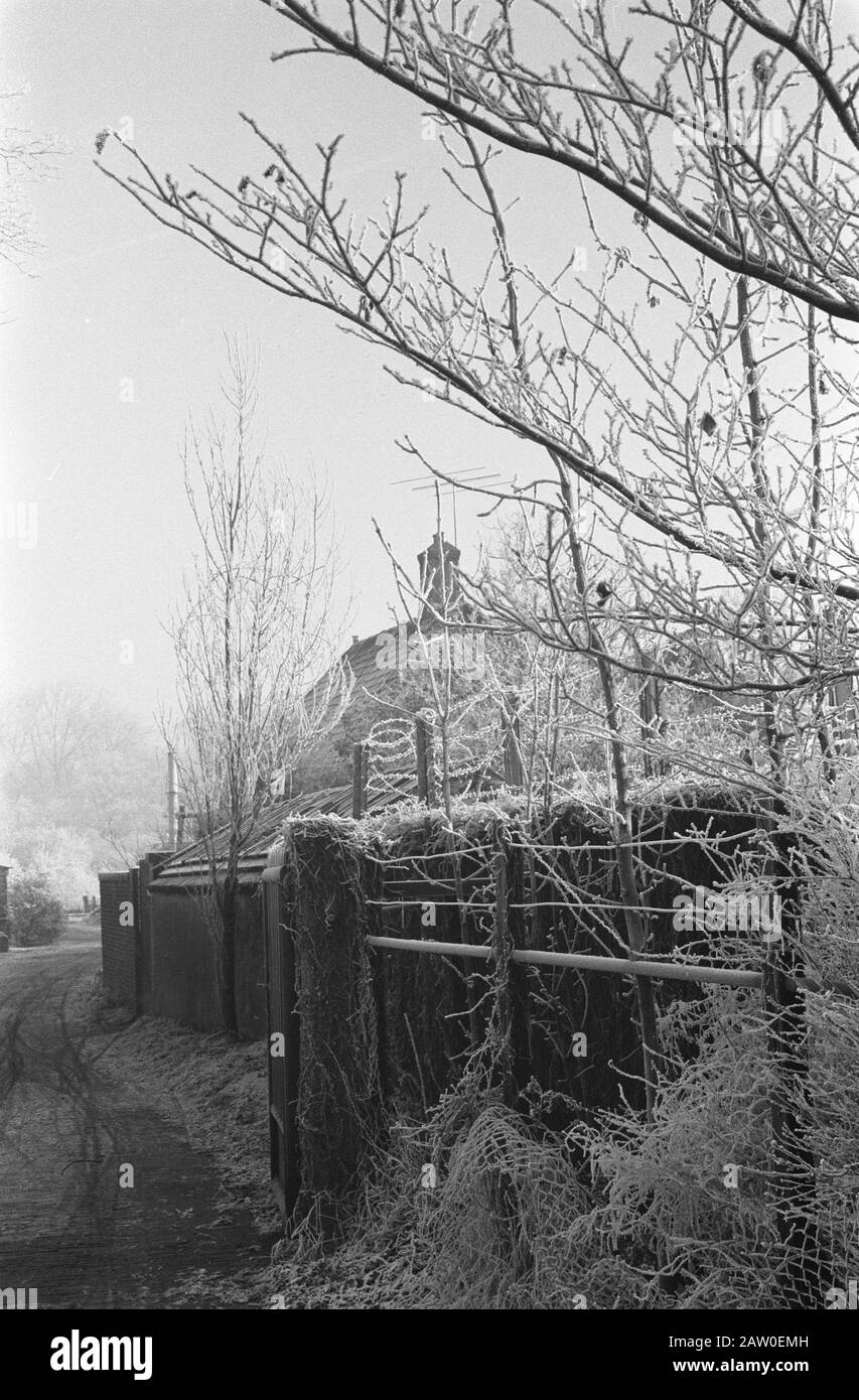 Niederlande mit Frostschicht bedeckt Datum: 6. Dezember 1962 Standort: Niederlande Stockfoto Niederlande mit Frostschicht bedeckt Datum: 6. Dezember 1962 Standort: Niederlande Stockfoto
