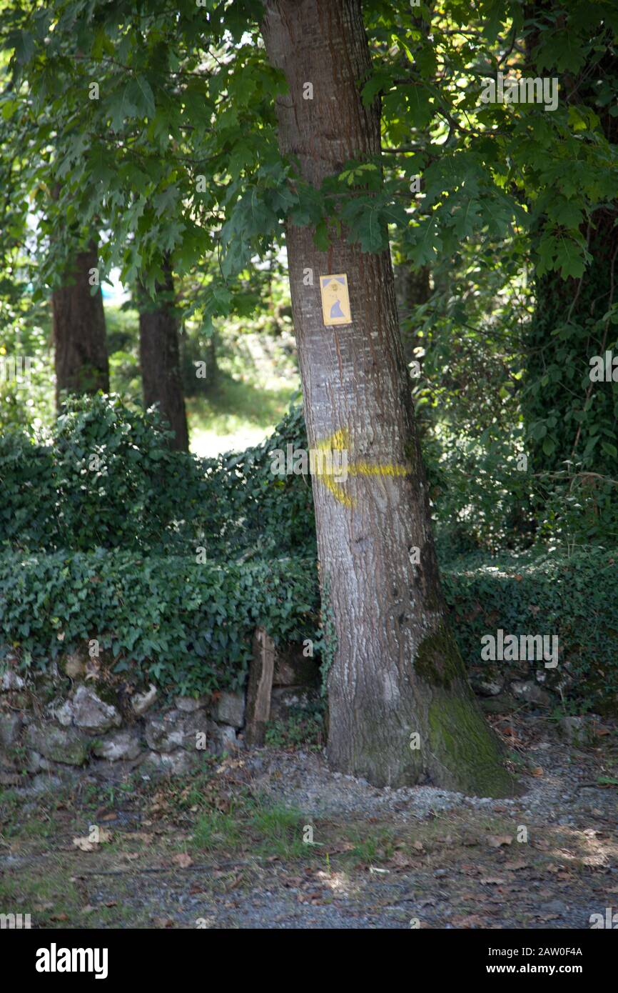 Camino-Schild, gelber Pfeil auf einem Baum gemalt, außerhalb des Saint Jean Pied de Port, Frankreich Stockfoto