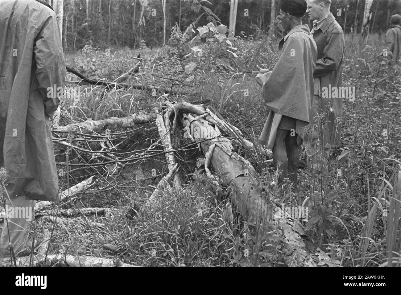 Fotoreportage Palembang niederländischer Offizier und indonesischer Mann Mete peci und regenkaper unterstützen einen gestürzten oder gefällten Baum, wahrscheinlich an einem Ort eines Massengrabes? Datum: Januar 1947 Ort: Indonesien, Niederländische Ostindien, Palembang, Sumatra Stockfoto