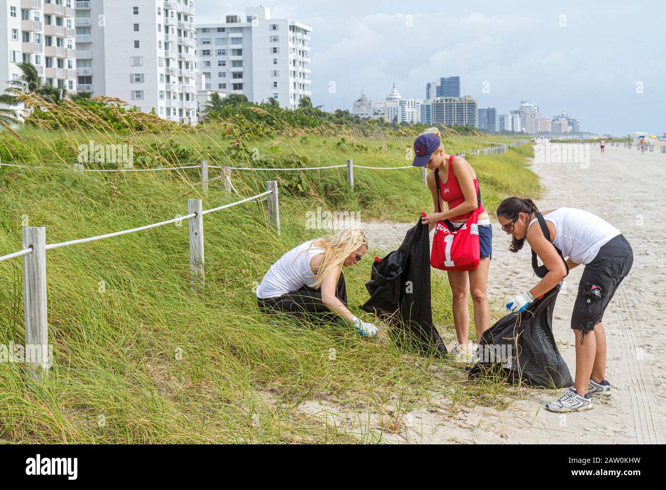 Miami Beach, Florida, Coastal Cleanup Day, Studenten Freiwillige Freiwillige Freiwillige Arbeit Arbeiter, Teamwork arbeitet zusammen, um Hilfe zu dienen Stockfoto