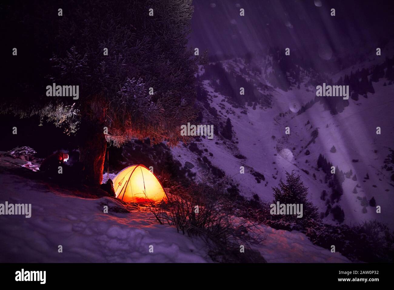 Camp mit orangefarbenen, leuchtenden Zelten in der Nähe großer Fichten in den Bergen unter purpurem Winterhimmel. Stockfoto