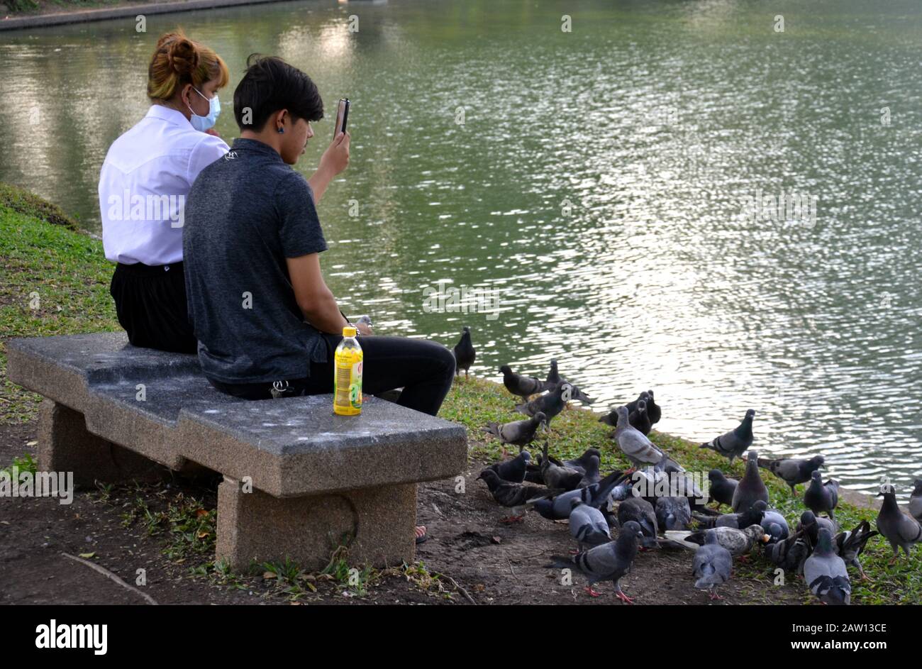 Ein junger Mann und eine junge Frau sitzen auf einer Steinbank neben dem See und füttern eine Gruppe von Tauben im Lumphini Park, im Zentrum von Bangkok, Thailand, Asien Stockfoto