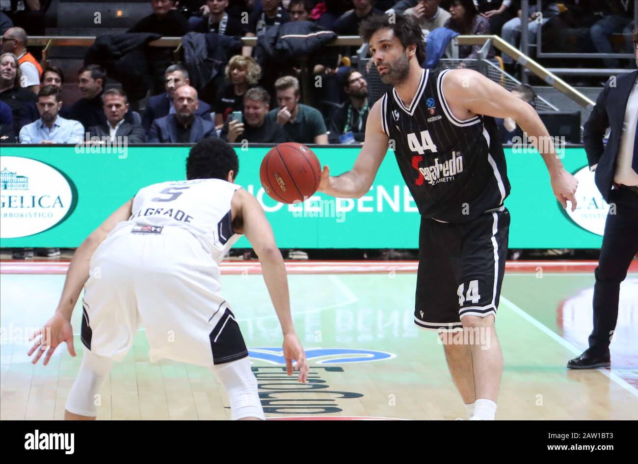 Bologna, Italien. Feb. 2020. Milos teodosic (Virtus segafredo bologna) während Segaftedo Virtus Bologna vs. Partizan Nis Belgrado, Basketball EuroCup Championship in Bologna, Italien, 5. Februar 2020 Credit: Independent Photo Agency/Alamy Live News Stockfoto