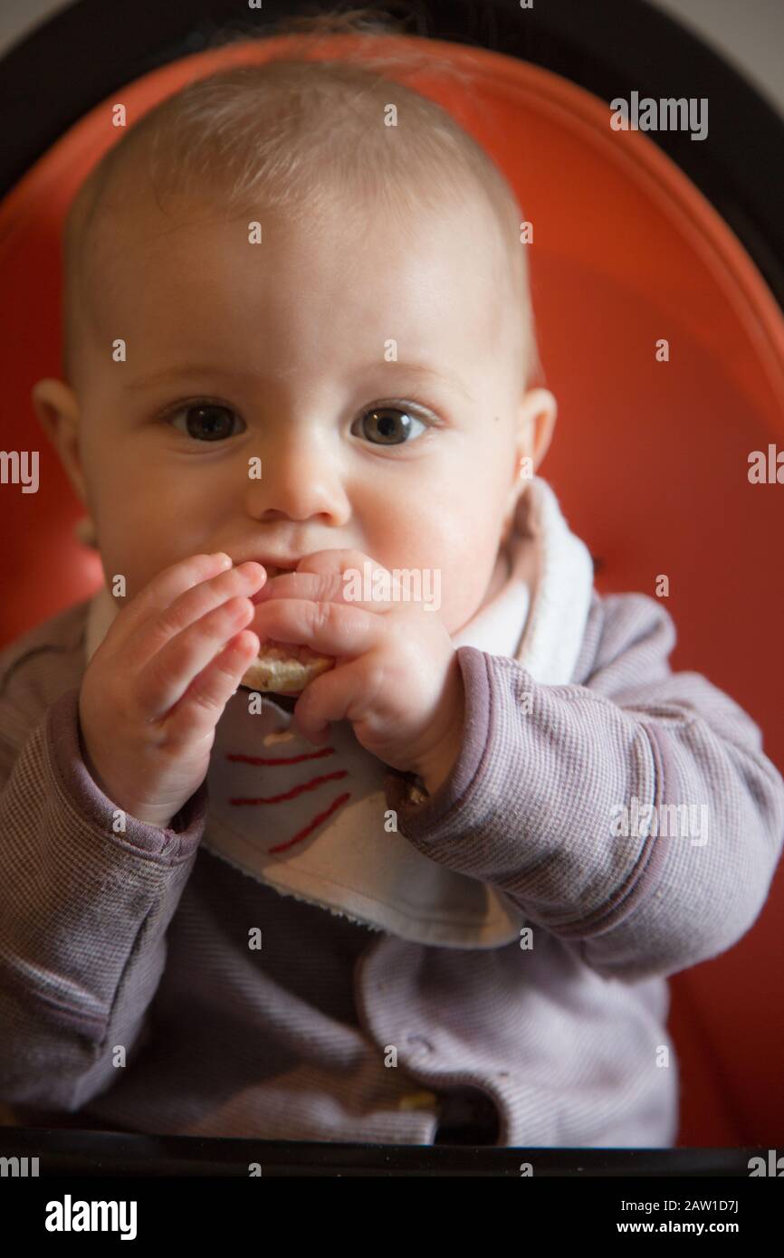 6 Monate altes Baby in einem Hochstuhl, Großbritannien Stockfoto