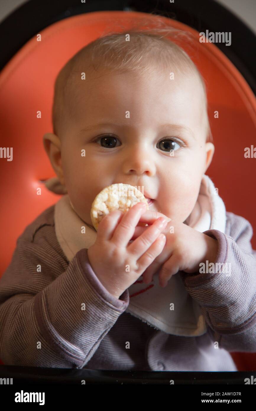 6 Monate altes Baby in einem Hochstuhl, Großbritannien Stockfoto