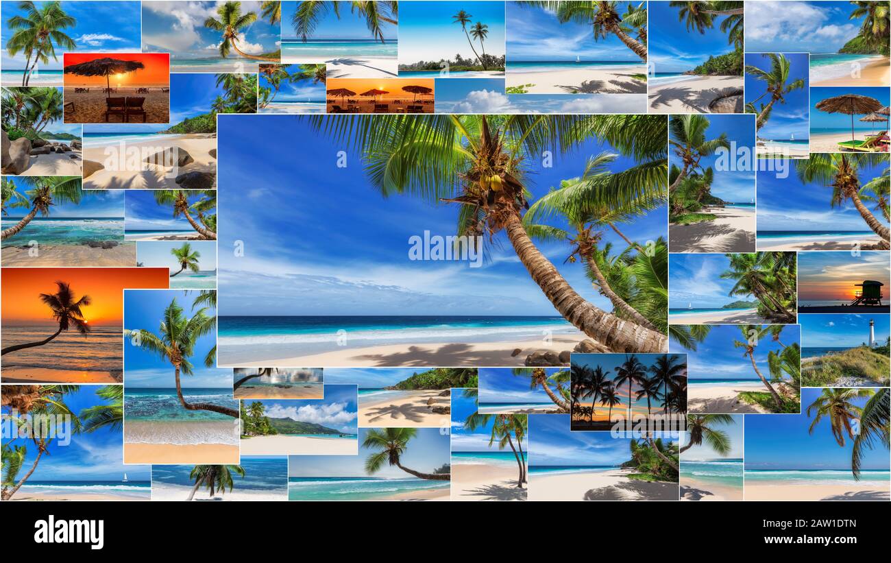 Collage des Tropenstrand Reisekonzepts Stockfoto