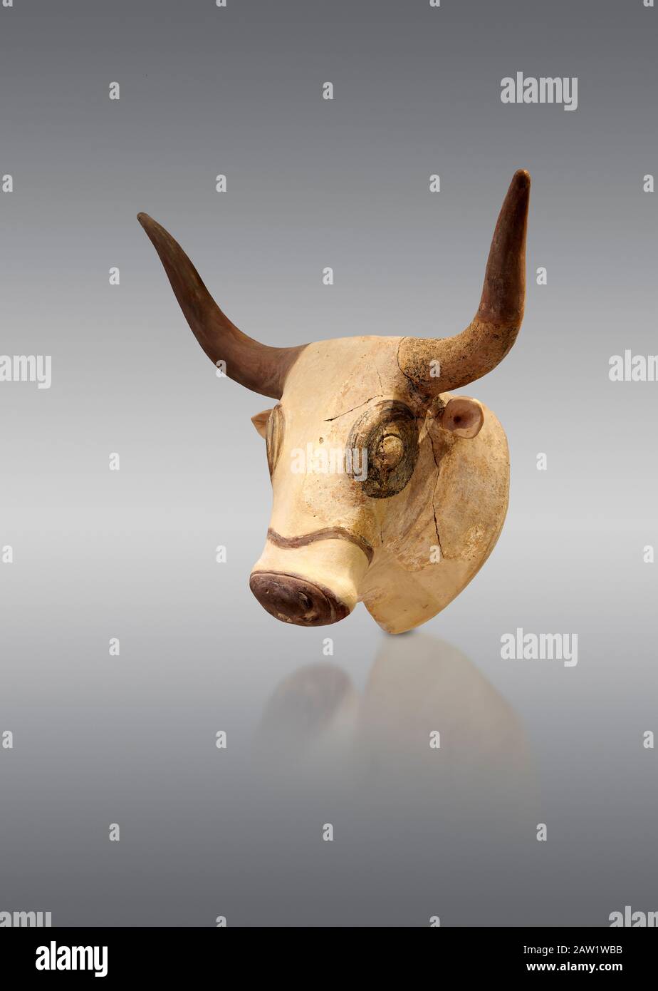 Minoan Bulls Kopfrhythmusgefäß, Machlos 1500-1450 v. Chr.; Archäologisches Museum Heraklion, grauer Hintergrund. Stockfoto