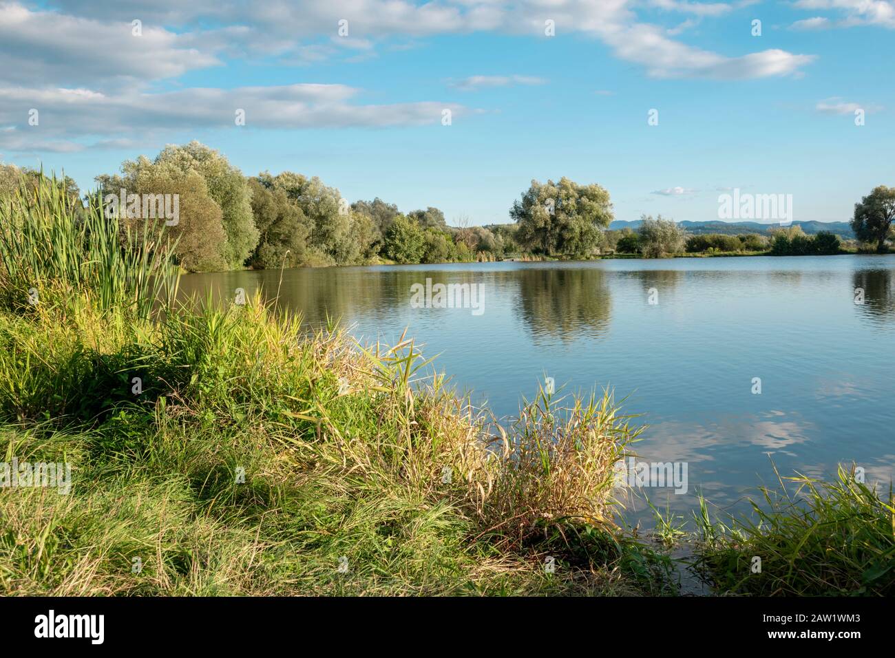 Schöner Fischteich in Badin, in der Nähe von Banska Bystrica, Slowakei. Bäume spiegeln Spiegelreflexion im Wasser. Angelplatz. Strahlende Sonne über dem Fischteich Stockfoto
