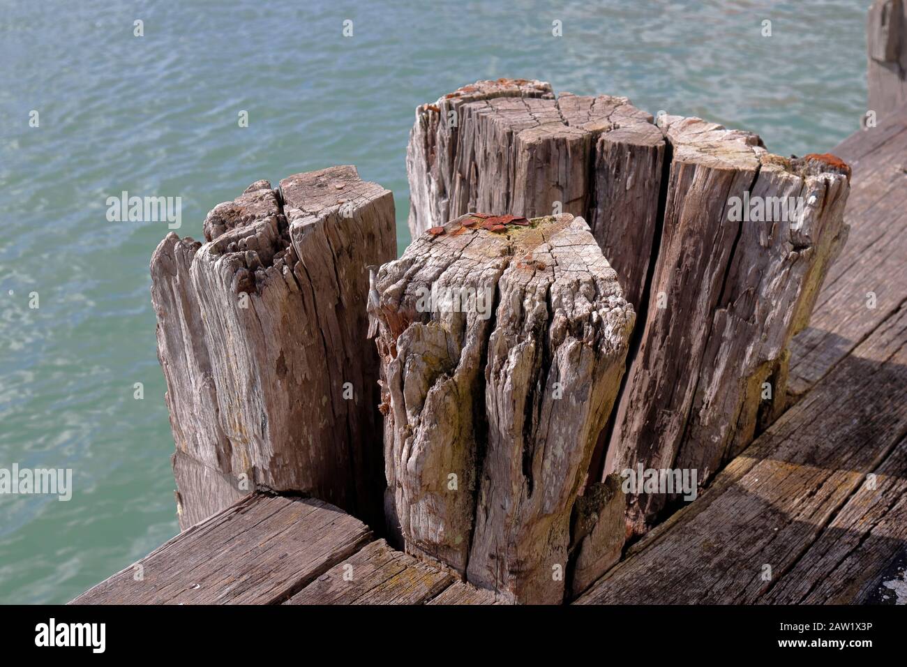 Details zu verwittertem Holz, Princes Wharf, Waitemata Harbour, Auckland, Neuseeland Stockfoto