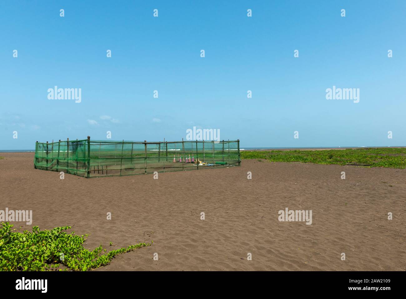 Turtle Hatching Point, Velas, Raigad, Maharashtra, Indien Stockfoto