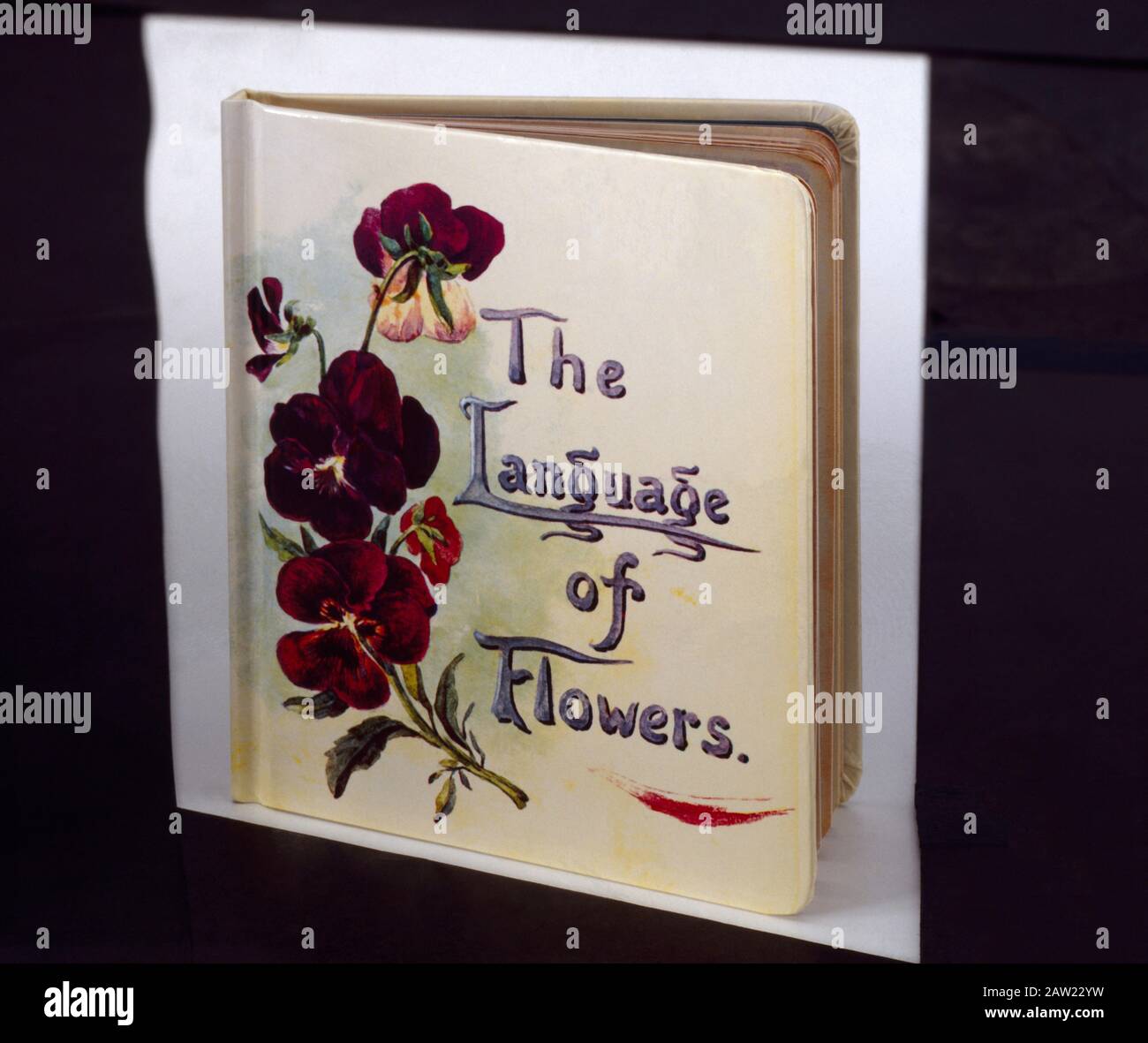 Nahaufnahme eines viktorianischen Buchs "Die Sprache der Blumen" Stockfoto