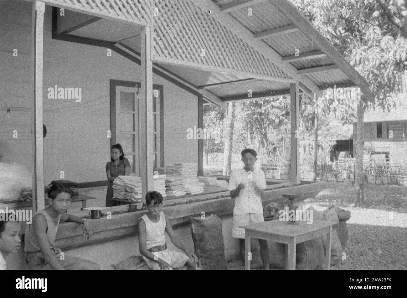 Personoeisches Oemoen und rotes Kruiswerk [Padang] Padang: Die indonesische Bevölkerung in den befreiten Gebieten wurde in einem schrecklichen Zustand gefunden. Hilfe in Form von Medikamenten und Lebensmitteln war sofort notwendig, aber es bestand auch ein dringender Bedarf an Kleidung. Textilvertrieb in der Nähe von Padang unter der Aufsicht von Dr. Koot vom 3-14 R.I. Datum: August 1947 Ort: Indonesien, Java, Niederländisch-Ostindien, Sumatra Stockfoto