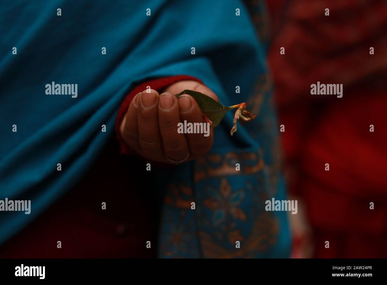 Nepalesische Frauen nehmen während des monatelangen Swasthani-Bratakatha-Festivals Teil, das der Göttin Shree Swasthani in Bhaktapur, Nepal gewidmet ist. Stockfoto