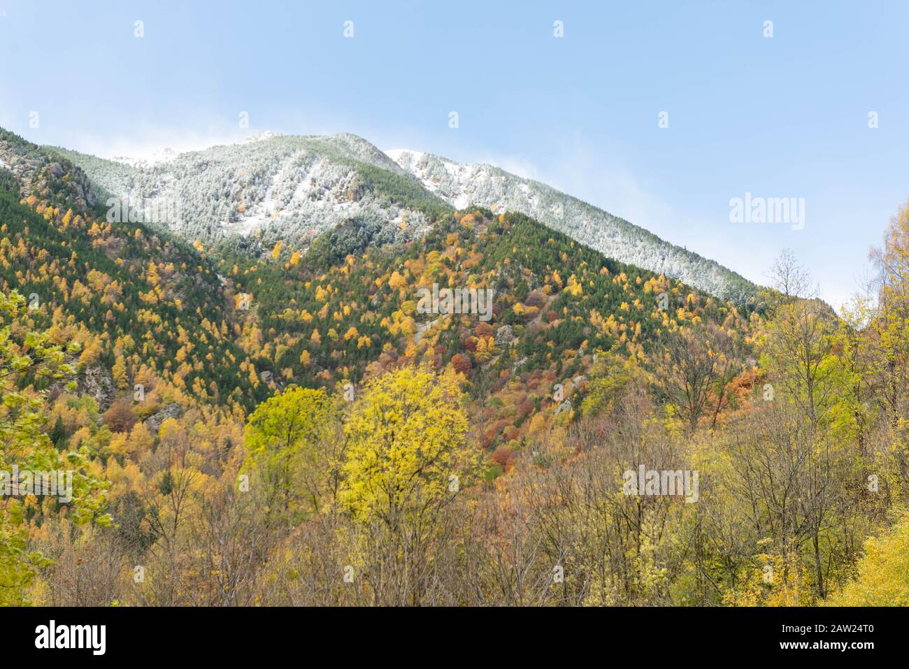 Herbstbild mit dem ersten Schnee Stockfoto