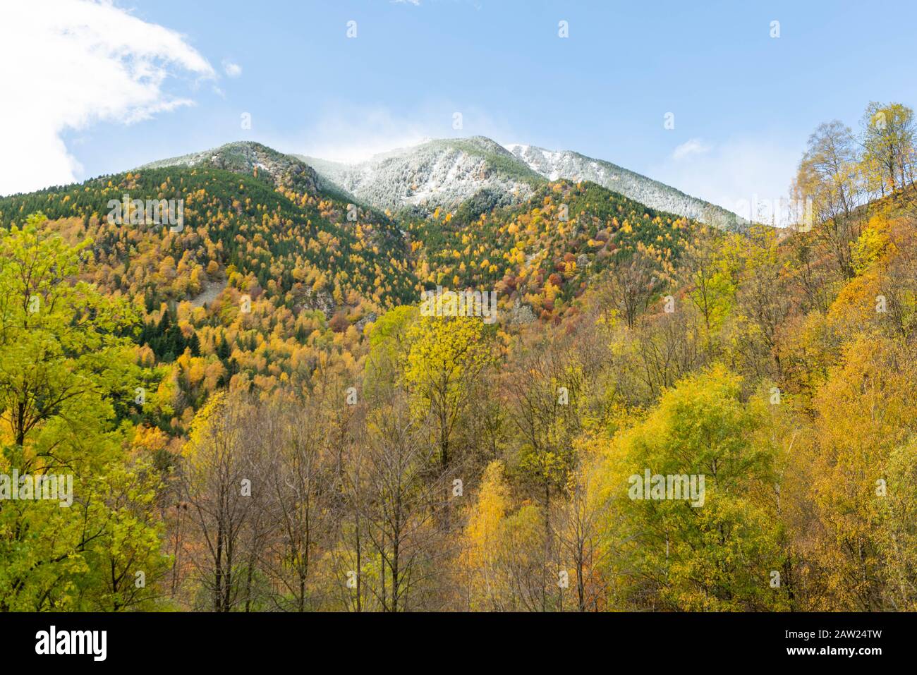 Herbstbild mit dem ersten Schnee Stockfoto