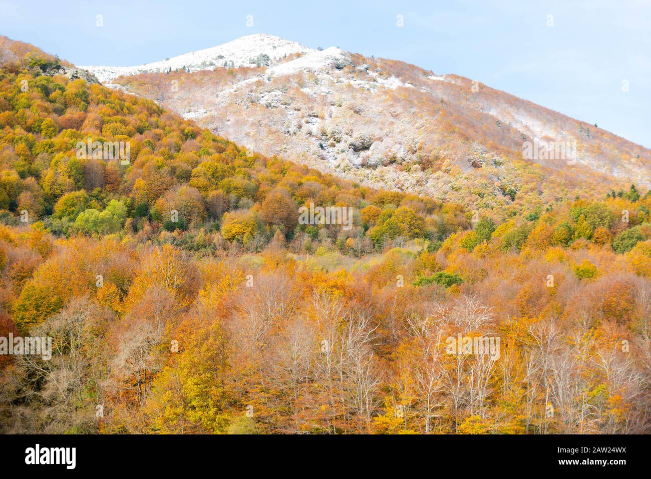 Herbstbild mit dem ersten Schnee Stockfoto