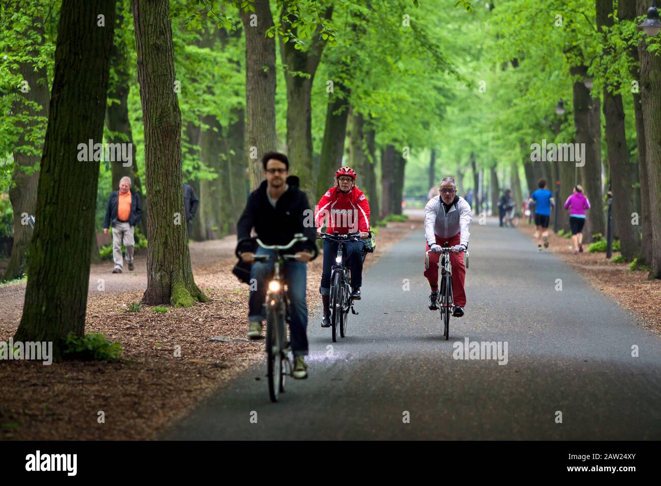 Münster, eine Universitätsstadt, ist nicht nur die Klimahauptstadt, sondern auch die Fahrradhauptstadt in Deutschland, wo ein großes Netz von Radwegen zur Verfügung steht. Stockfoto