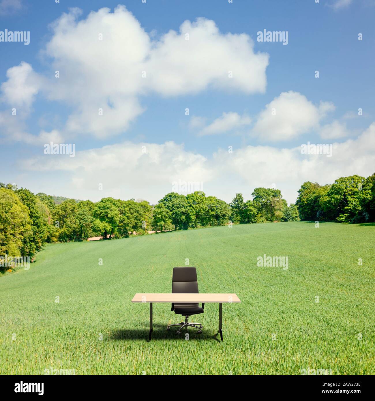 Ein abgelegenes Arbeitskonzept, ein Büroschreibtisch und ein Bürostuhl in einem grünen Feld Stockfoto