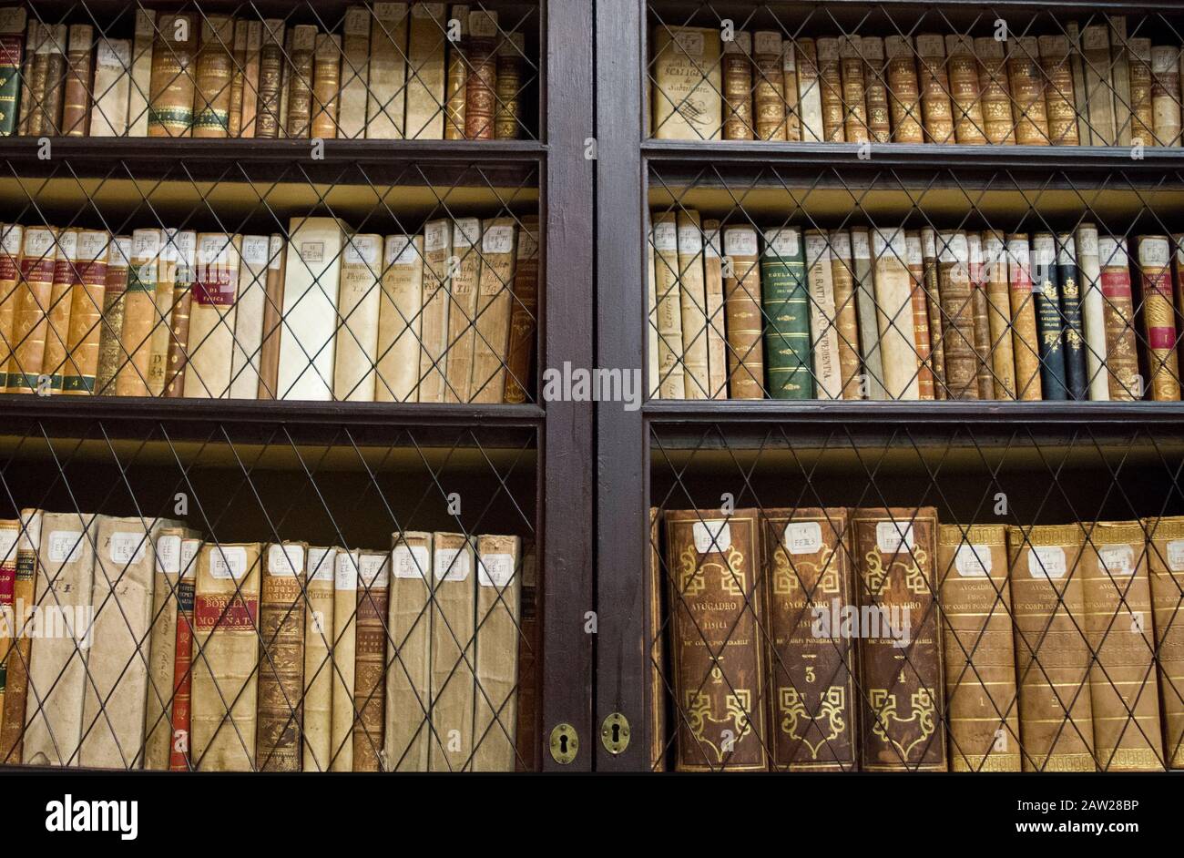 Alte, alte Bibliothek mit Bücherregalen und endlosen Korridoren, die nach dem Klassifizierungssystem der Bibliothek in einer bestimmten Reihenfolge angeordnet sind. Stockfoto
