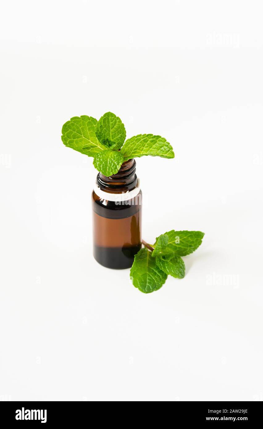 Isolierte Glasflasche mit aromatischem Öl und Minze auf weißem Hintergrund Stockfoto