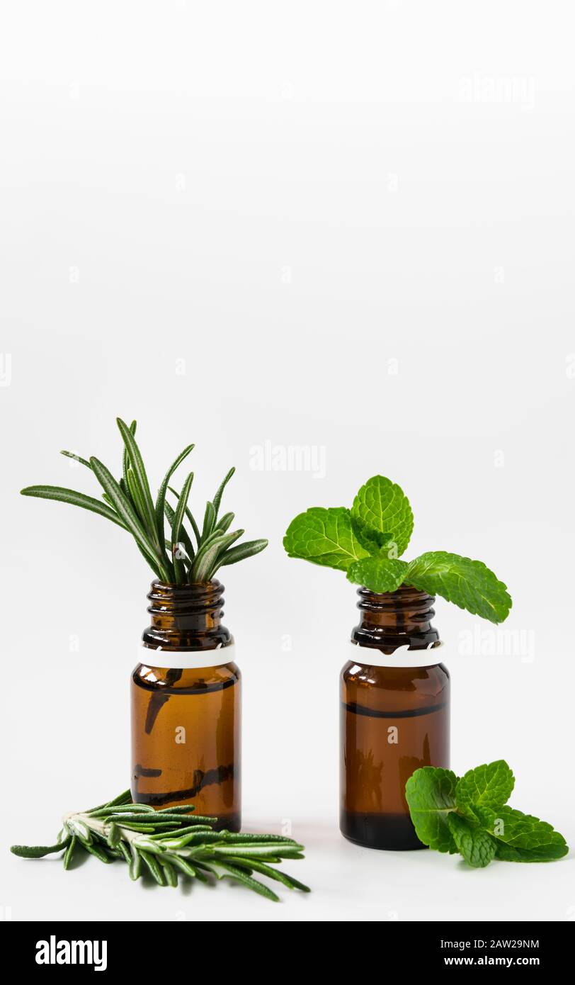 Glasflaschen mit ätherischen Ölen und Rosmarin- und Minzeblättern auf weißem Hintergrund, freier Textbereich Stockfoto